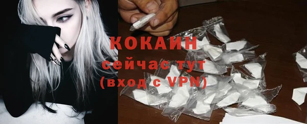 PSILOCYBIN Чегем