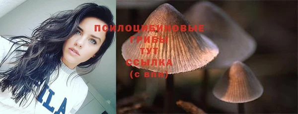 метамфетамин Гусев