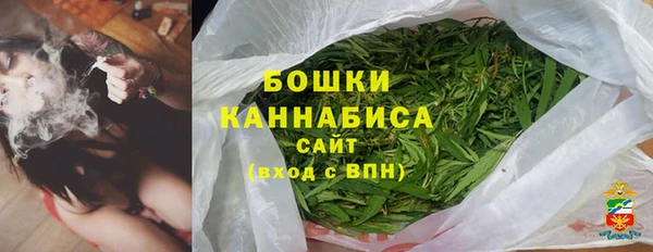 PSILOCYBIN Чегем