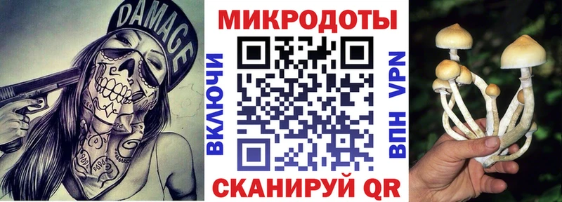 Псилоцибиновые грибы прущие грибы  сколько стоит  Мезень 